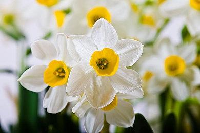 暴雪回应称《守望先锋2》标记系统不会让黑影过强