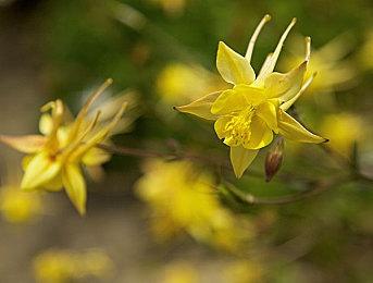 《超级猴子球1&2重制版》公布“世嘉硬件角色”介绍影像